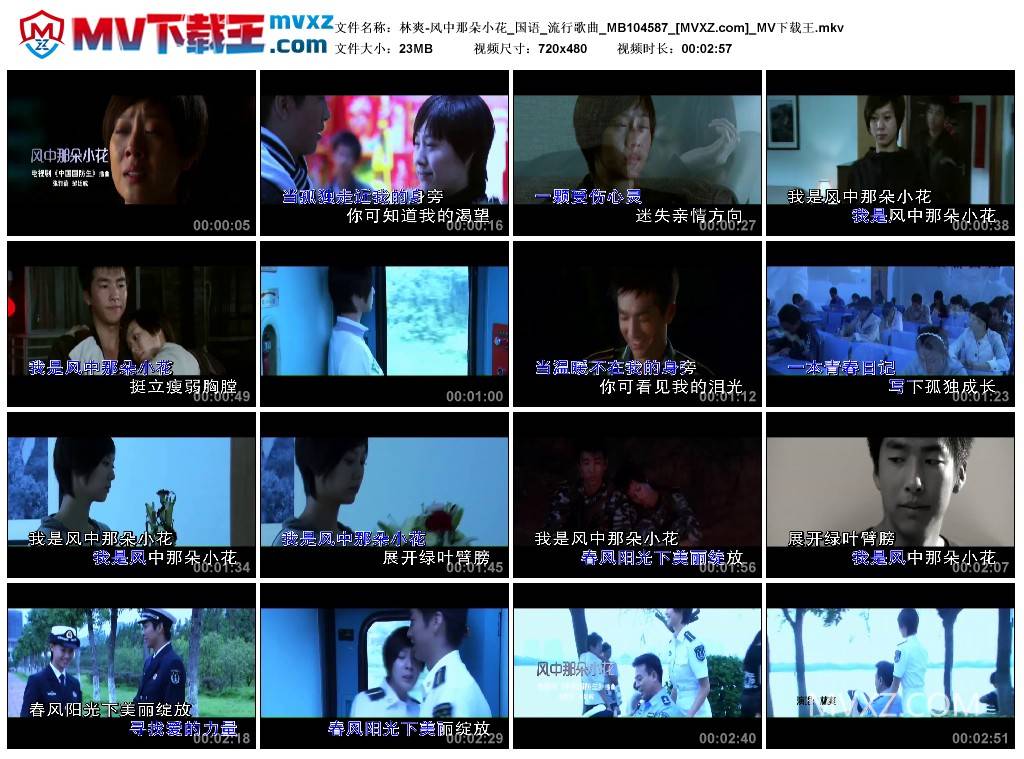 林爽-风中那朵小花_国语_流行歌曲_MB104587